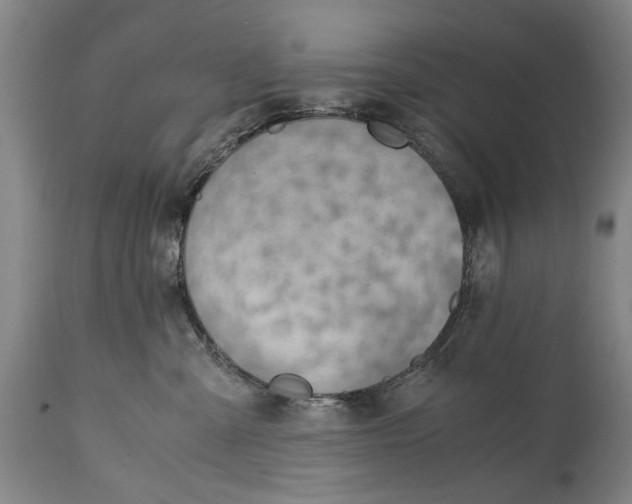 X0000114660427200911101347