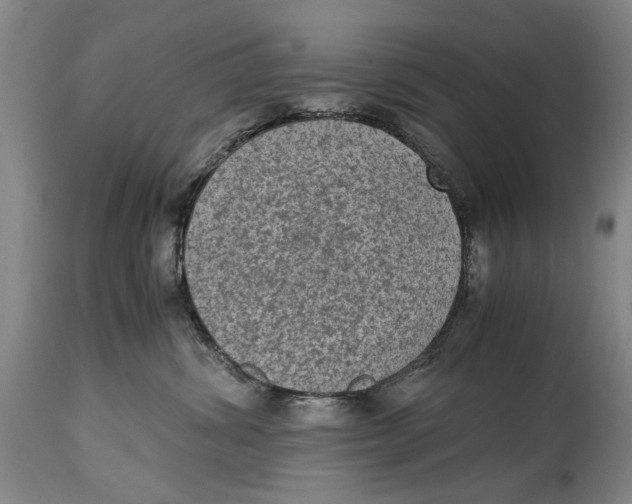 X0000114660428200911101347