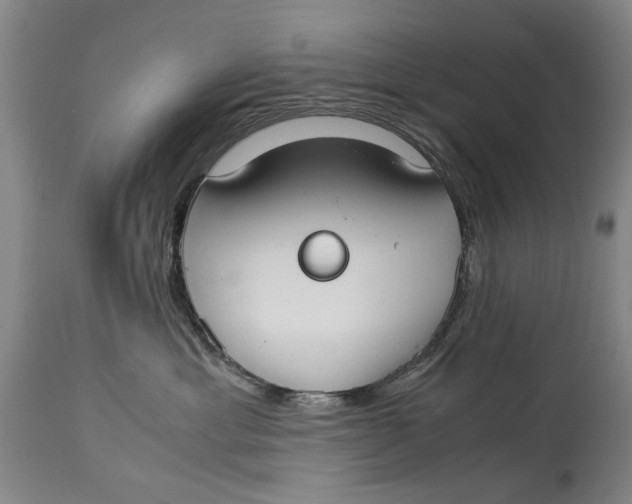 X0000114660429200911101347