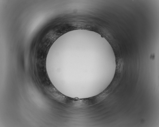 X0000114660430200911101347