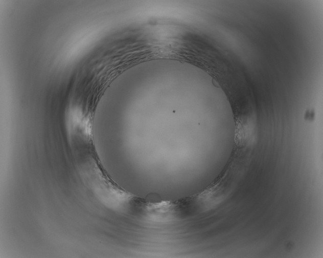 X0000114660431200911101347