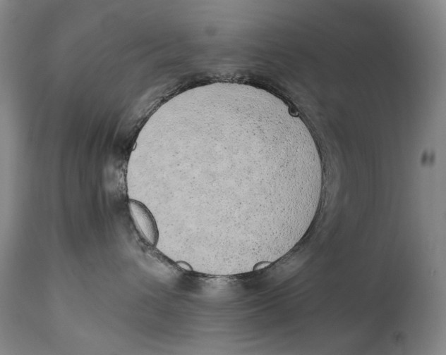 X0000114660432200911101347