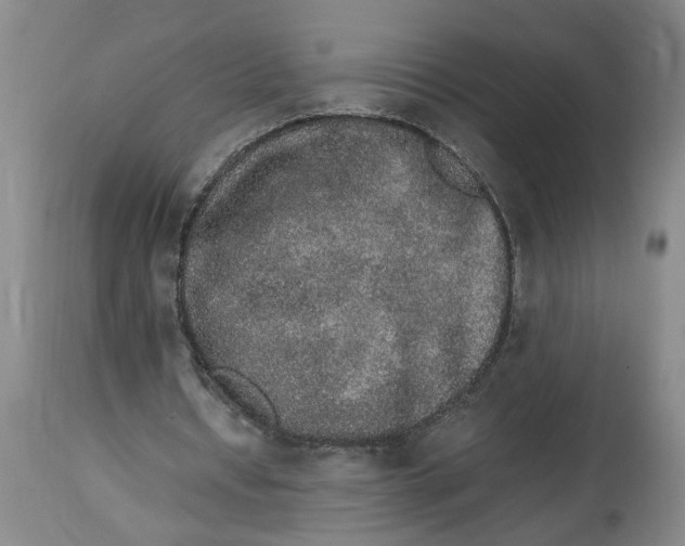 X0000114660434200911101346