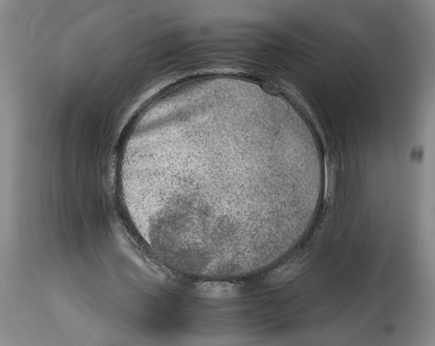 X0000114660435200911101347