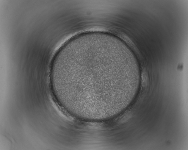 X0000114660436200911101347