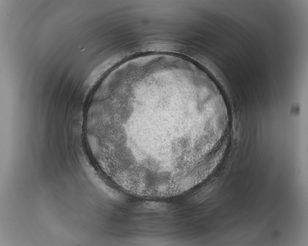 X0000114660437200911101347