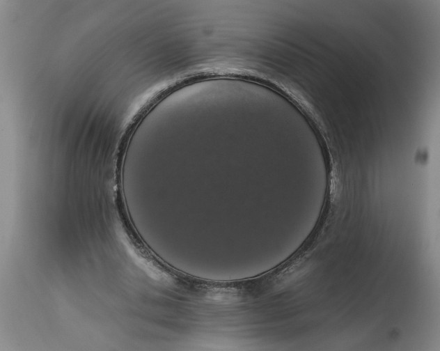 X0000114660438200911101347