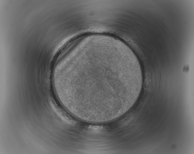 X0000114660440200911101347