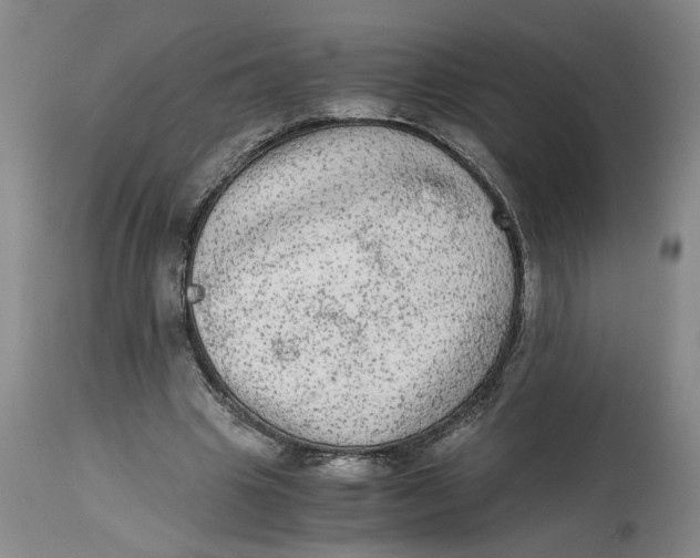 X0000114660441200911101347