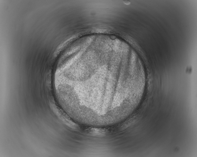 X0000114660442200911101347