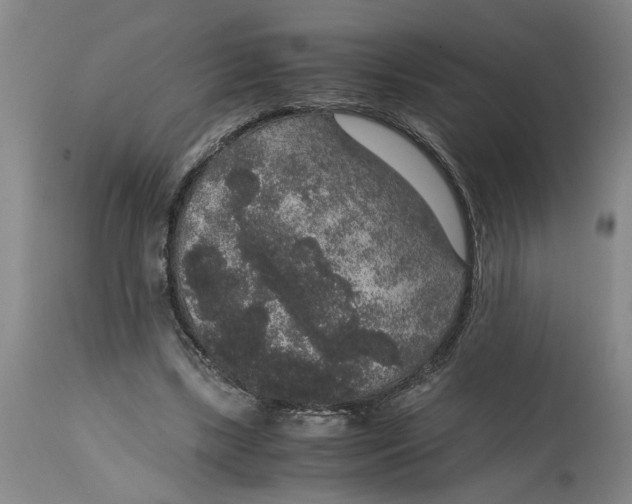 X0000114660443200911101347