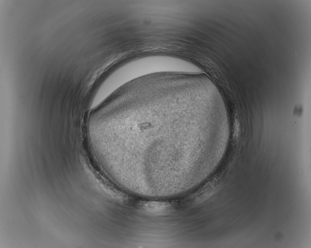 X0000114660444200911101347