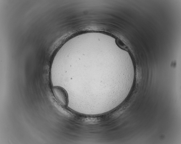 X0000114660445200911101347