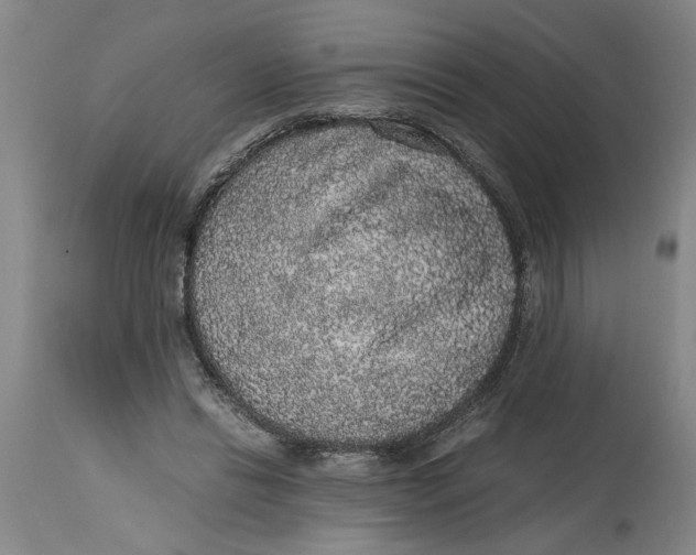 X0000114660446200911101347