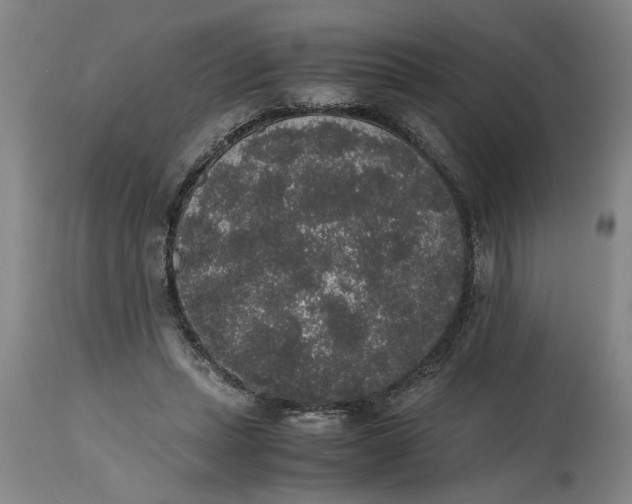 X0000114660447200911101347