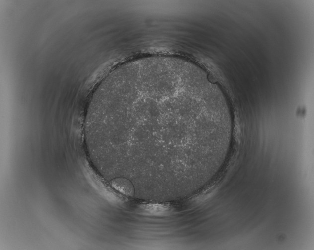 X0000114660449200911101347