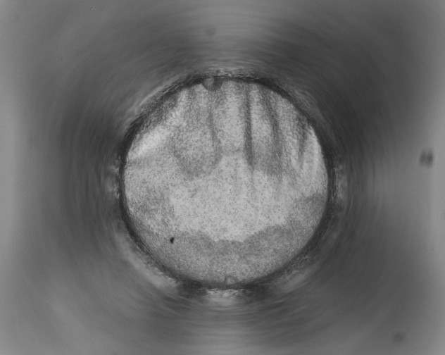 X0000114660450200911101347