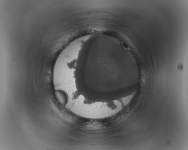 X0000114660451200911101347