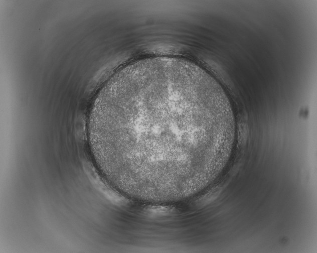 X0000114660453200911101347