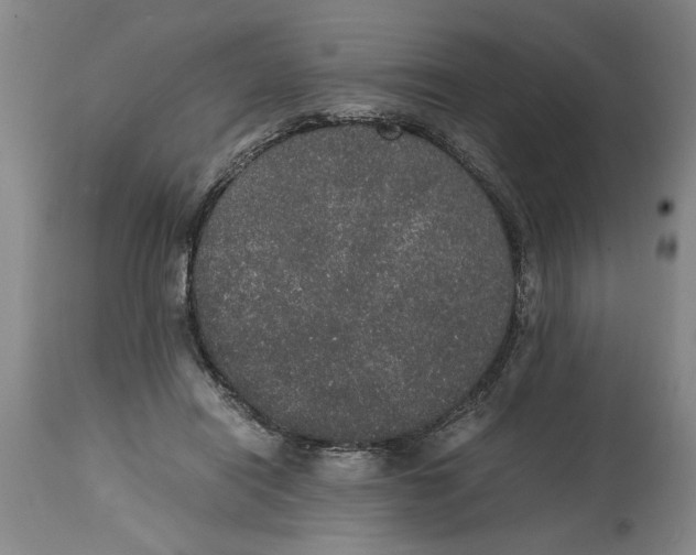 X0000114660454200911101347