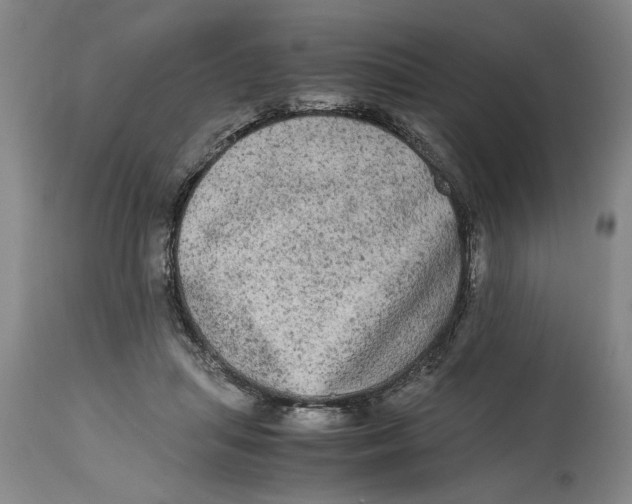 X0000114660455200911101347