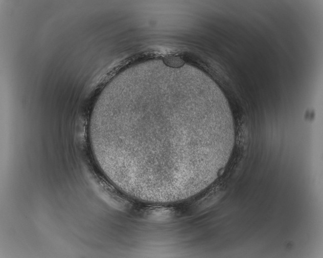 X0000114660456200911101347