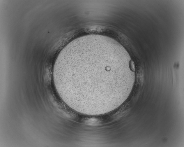 X0000114660460200911101347