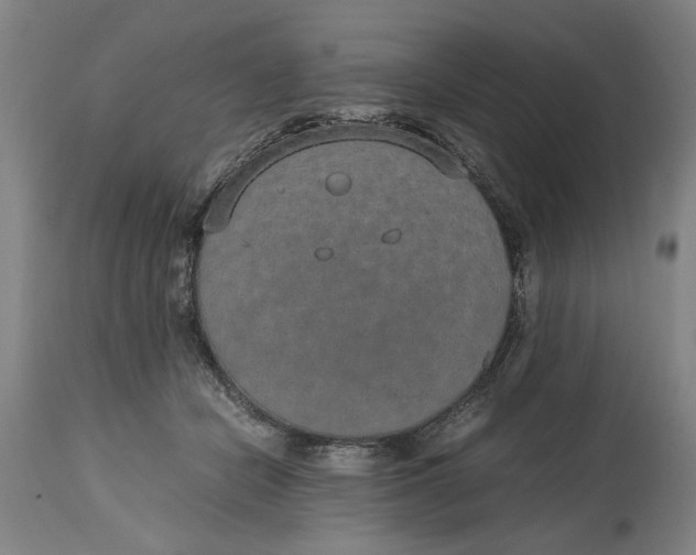 X0000114660462200911101347