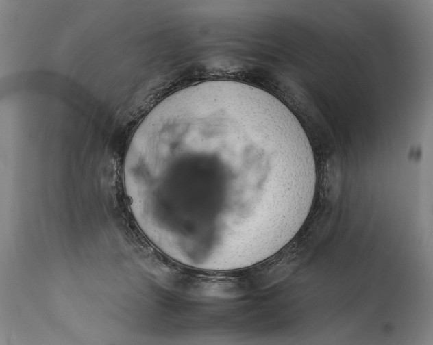 X0000114660463200911101347