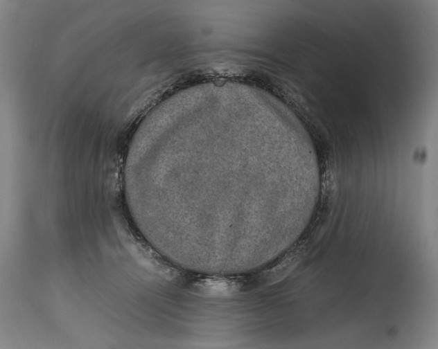 X0000114660464200911101347