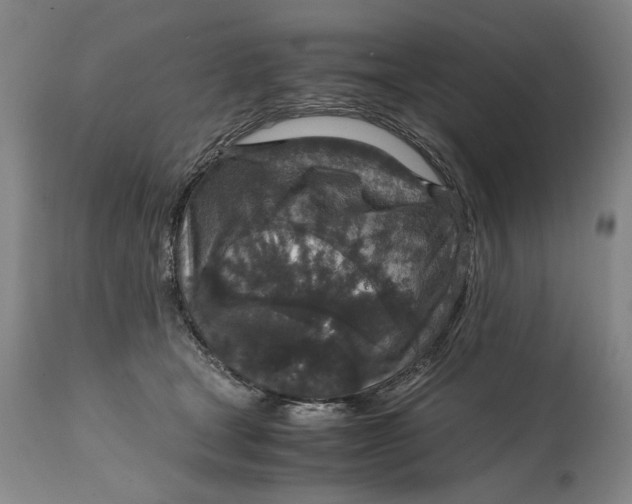 X0000114660465200911101347