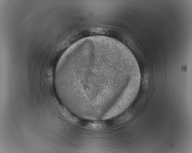 X0000114660466200911101347