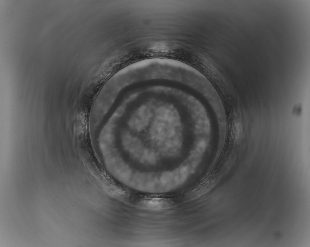 X0000114660467200911101347