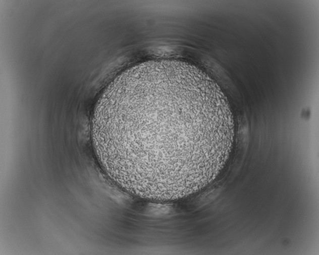 X0000114660469200911101347