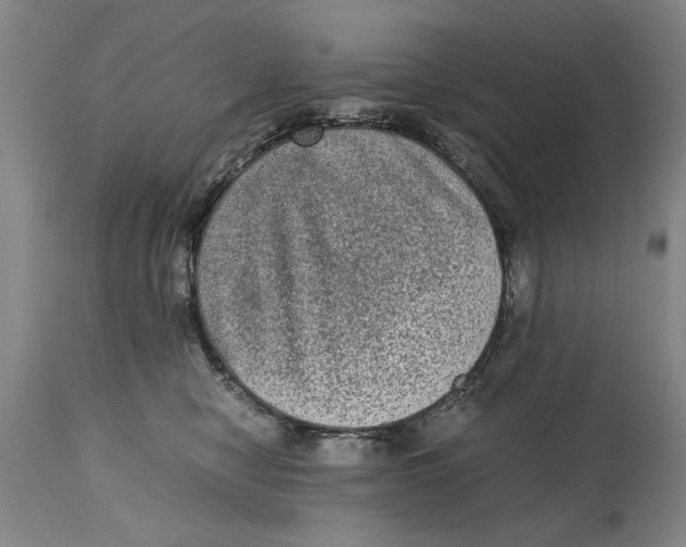 X0000114660470200911101347