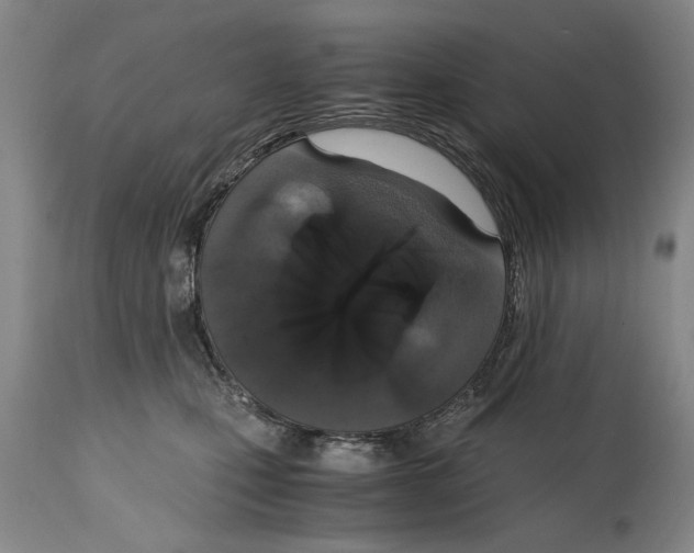 X0000114660471200911101347