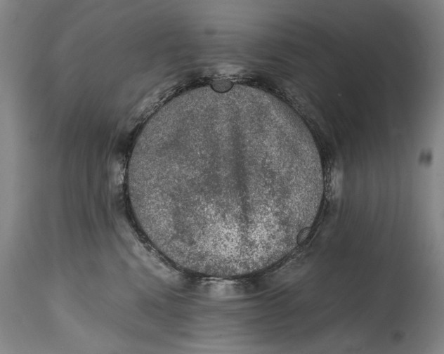 X0000114660472200911101347