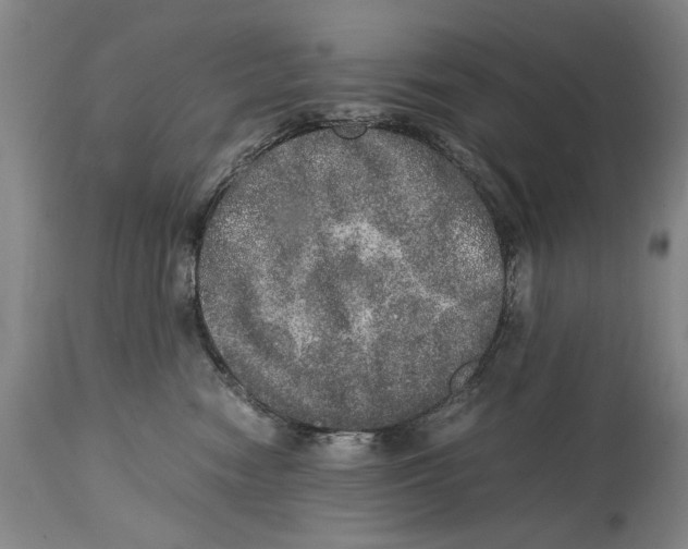 X0000114660474200911101347