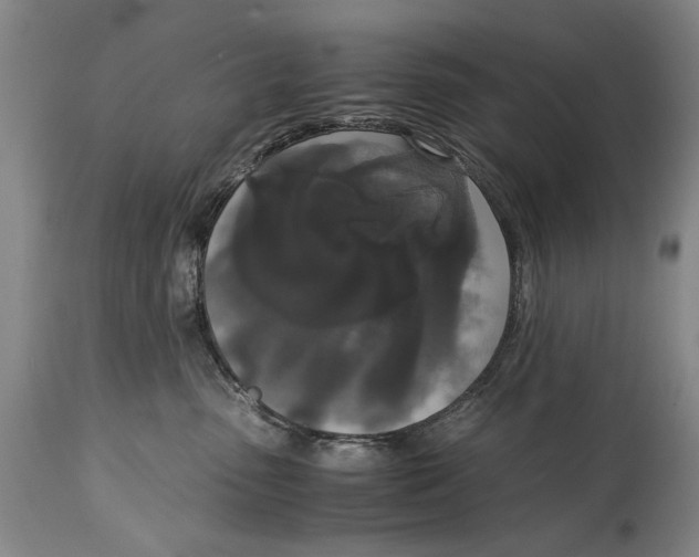 X0000114660475200911101347