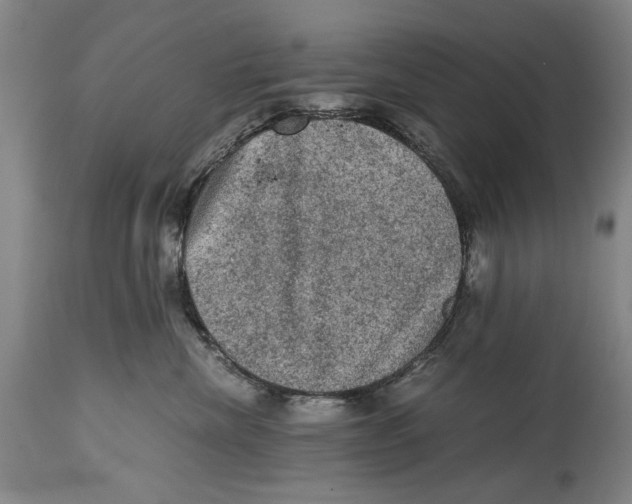 X0000114660476200911101347