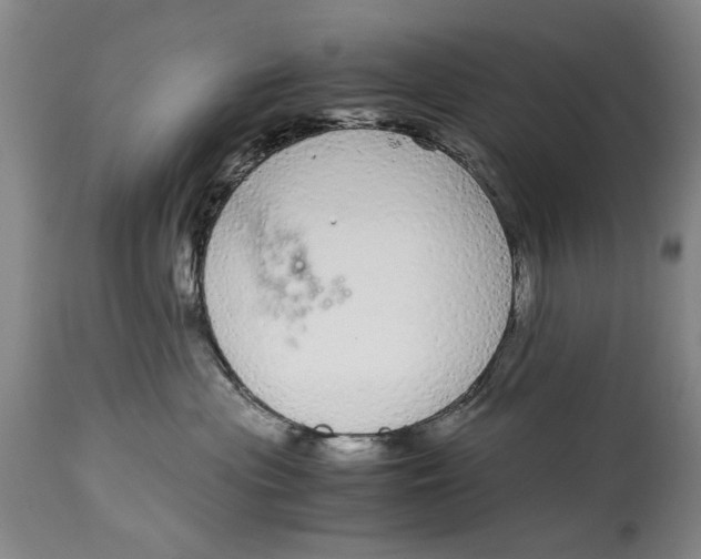 X0000114660477200911101347