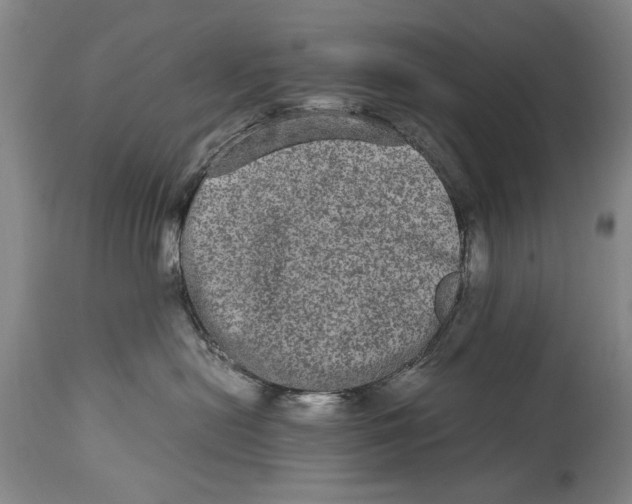 X0000114660478200911101347