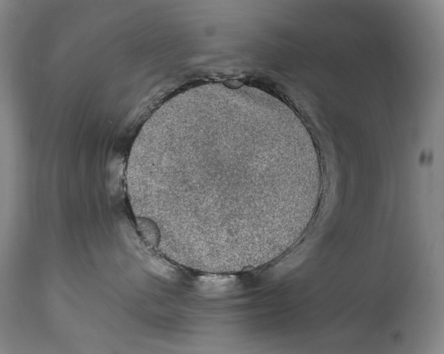 X0000114660480200911101347