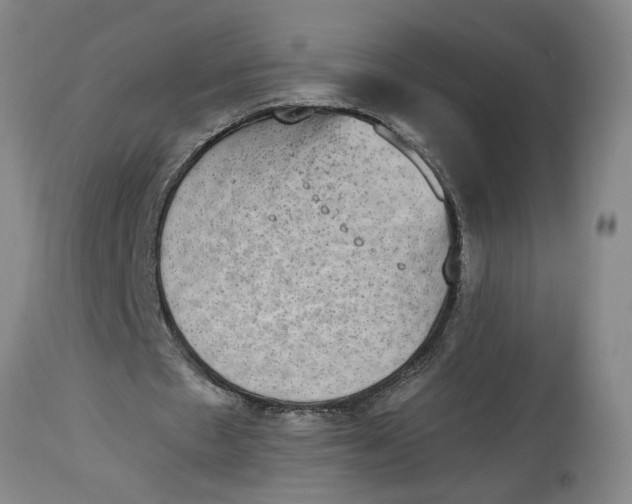 X0000114660481200911101346