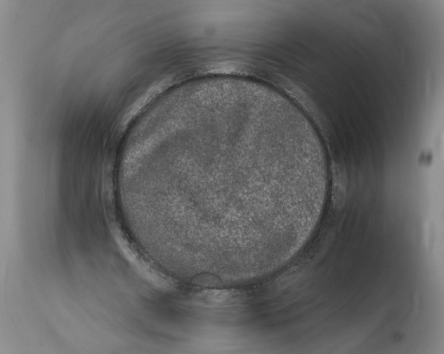 X0000114660482200911101346