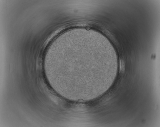 X0000114660483200911101346