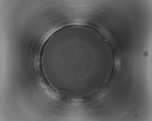 X0000114660484200911101346