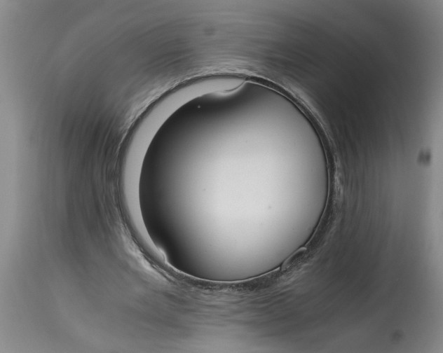 X0000114660485200911101346