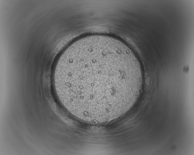 X0000114660487200911101346