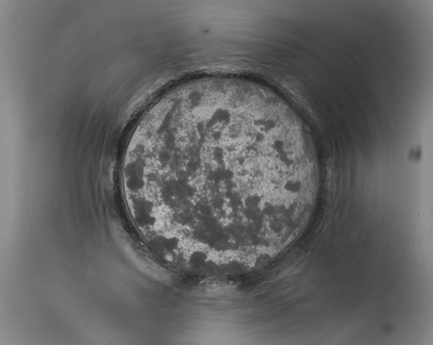 X0000114660491200911101346